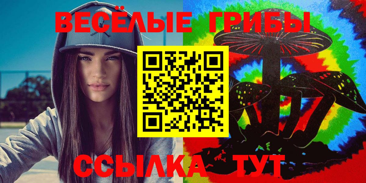 Галлюциногенные грибы Psilocybe Оренбург